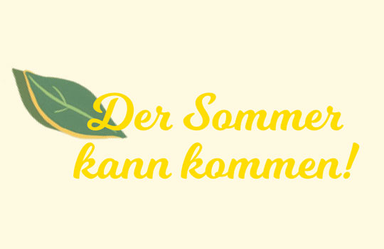 Sommeraktion